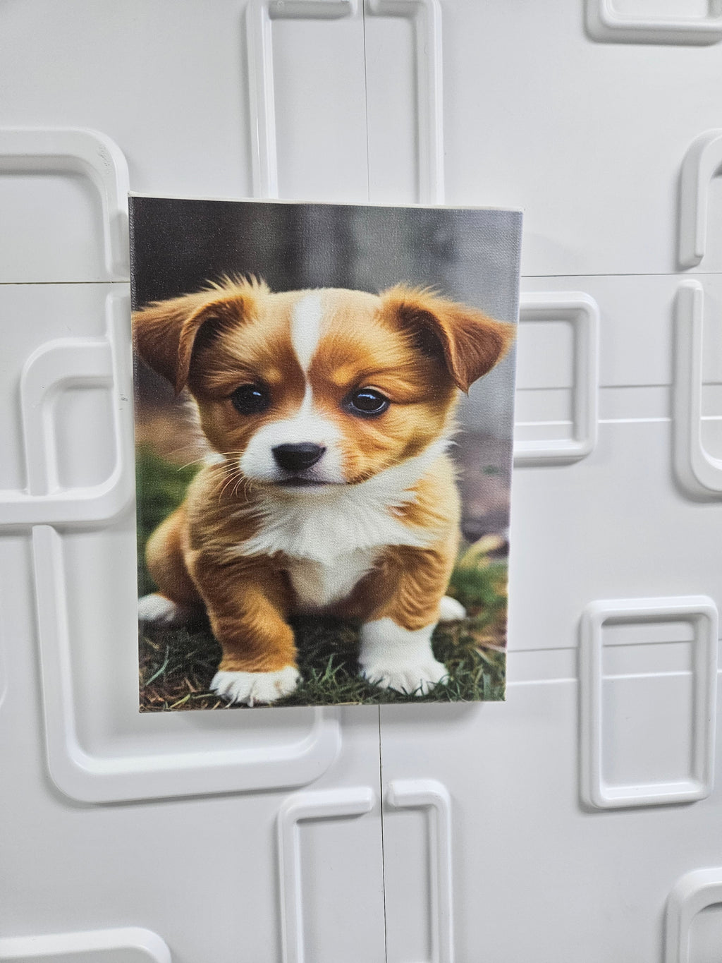 Custom Pet Canvas – Turn Your Pet Into Art